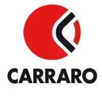 Ремонт мостов и КПП CARRARO