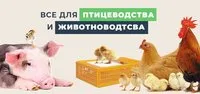 Силос