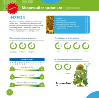 Семена подсолнечника Н4Х302 Е