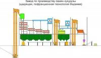 Завод по производству семян кукурузы