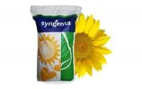 Семена подсолнечника Syngenta, Maisadour, Limagrein, Caussade